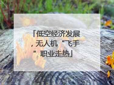 低空经济发展，无人机“飞手”职业走热