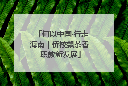 何以中国·行走海南｜侨校飘茶香 职教新发展