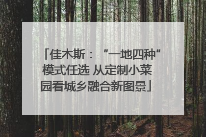 佳木斯：“一地四种” 模式任选 从定制小菜园看城乡融合新图景