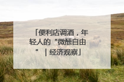 便利店调酒，年轻人的“微醺自由”｜经济观察