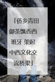 侨乡青田御茶飘香西班牙 架起中西文化交流桥梁