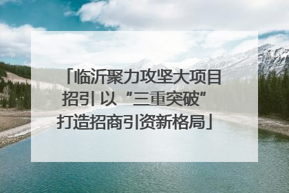 临沂聚力攻坚大项目招引 以“三重突破”打造招商引资新格局