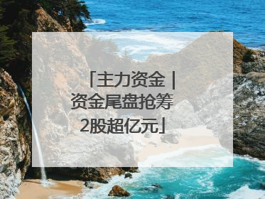 主力资金｜资金尾盘抢筹2股超亿元