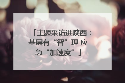 主题采访进陕西：基层有“智”理 应急“加速度”