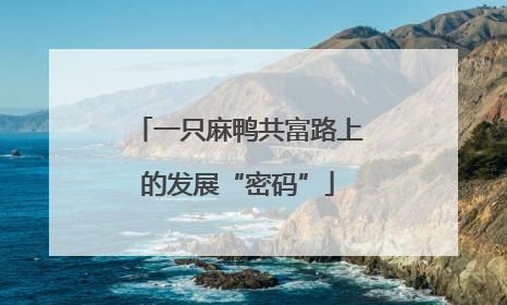 一只麻鸭共富路上的发展“密码”