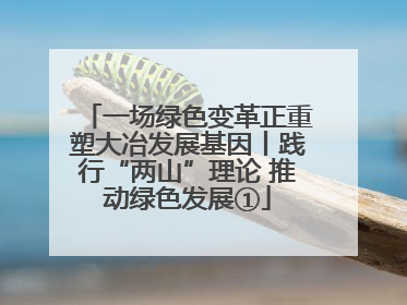 一场绿色变革正重塑大冶发展基因丨践行“两山”理论 推动绿色发展①