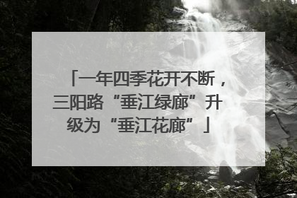 一年四季花开不断，三阳路“垂江绿廊”升级为“垂江花廊”