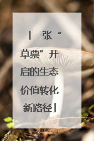 一张“草票”开启的生态价值转化新路径