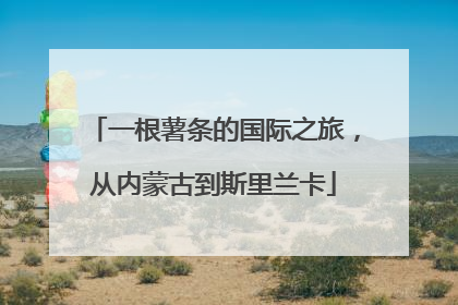 一根薯条的国际之旅，从内蒙古到斯里兰卡
