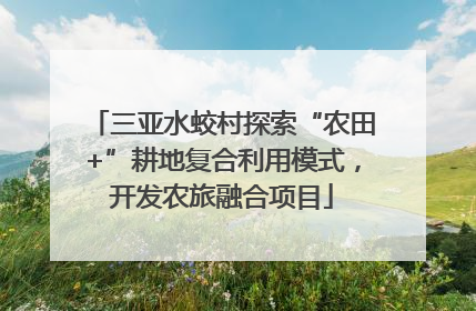 三亚水蛟村探索“农田+”耕地复合利用模式，开发农旅融合项目