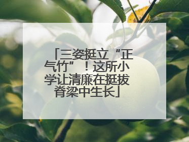 三姿挺立“正气竹”！这所小学让清廉在挺拔脊梁中生长