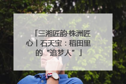 三湘匠韵·株洲匠心丨石天宝：稻田里的“追梦人”