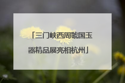 三门峡西周虢国玉器精品展亮相杭州