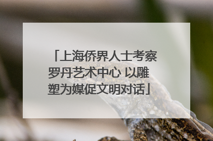 上海侨界人士考察罗丹艺术中心 以雕塑为媒促文明对话
