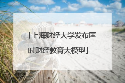 上海财经大学发布匡时财经教育大模型