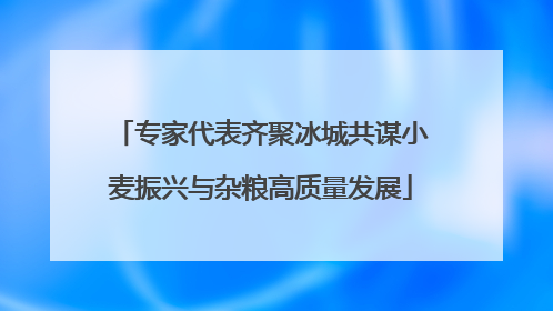 专家代表齐聚冰城共谋小麦振兴与杂粮高质量发展