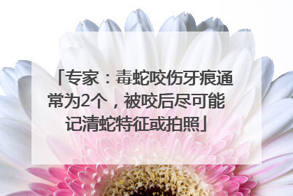 专家：毒蛇咬伤牙痕通常为2个，被咬后尽可能记清蛇特征或拍照