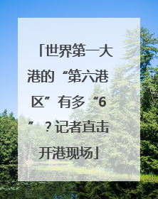 世界第一大港的“第六港区”有多“6”？记者直击开港现场