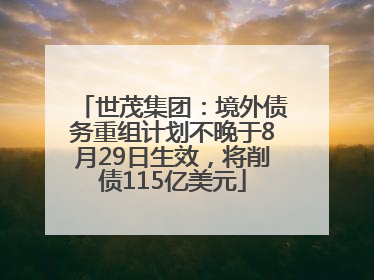 世茂集团：境外债务重组计划不晚于8月29日生效，将削债115亿美元