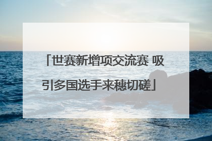 世赛新增项交流赛 吸引多国选手来穗切磋