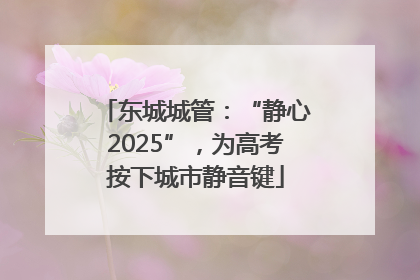 东城城管：“静心2025”，为高考按下城市静音键