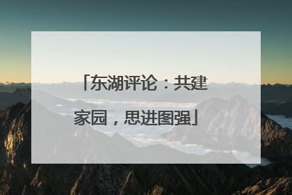 东湖评论：共建家园，思进图强