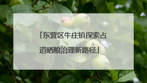 东营区牛庄镇探索占道晒粮治理新路径