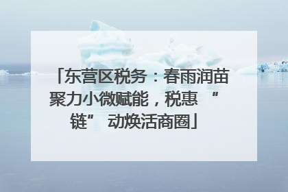 东营区税务：春雨润苗聚力小微赋能，税惠 “链” 动焕活商圈