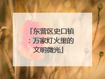 东营区史口镇：万家灯火里的文明微光