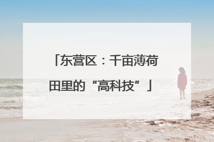 东营区：千亩薄荷田里的“高科技”