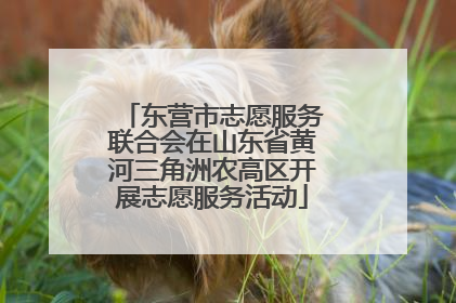 东营市志愿服务联合会在山东省黄河三角洲农高区开展志愿服务活动