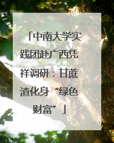 中南大学实践团赴广西凭祥调研：甘蔗渣化身“绿色财富”
