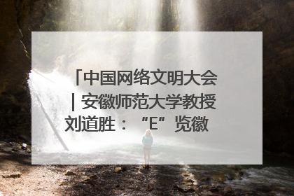 中国网络文明大会｜安徽师范大学教授刘道胜：“E”览徽风，构筑中华民族共有精神家园