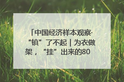 中国经济样本观察·“镇”了不起｜为衣做架，“挂”出来的80亿元“衣架产业”