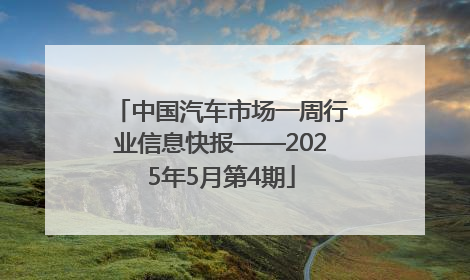 中国汽车市场一周行业信息快报——2025年5月第4期