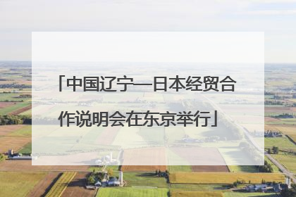 中国辽宁—日本经贸合作说明会在东京举行