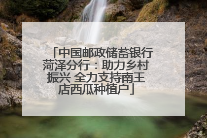 中国邮政储蓄银行菏泽分行：助力乡村振兴 全力支持南王店西瓜种植户