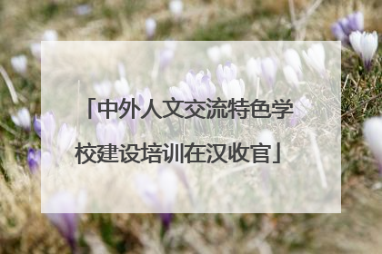 中外人文交流特色学校建设培训在汉收官