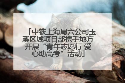 中铁上海局六公司玉溪区域项目部携手地方开展“青年志愿行 爱心助高考”活动