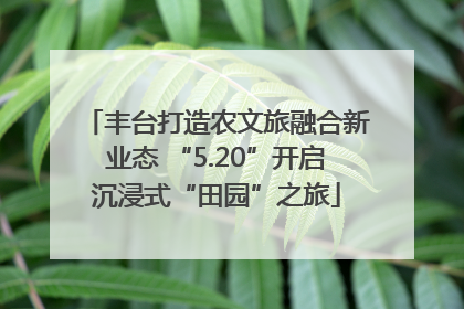 丰台打造农文旅融合新业态 “5.20”开启沉浸式“田园”之旅