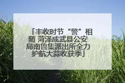 丰收时节“警”相随 菏泽成武县公安局南鲁集派出所全力护航大蒜收获季