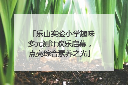 乐山实验小学趣味多元测评欢乐启幕，点亮综合素养之光
