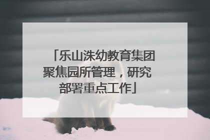 乐山洙幼教育集团聚焦园所管理，研究部署重点工作