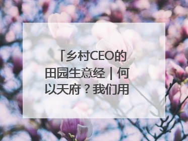 乡村CEO的田园生意经｜何以天府？我们用粮食作答④