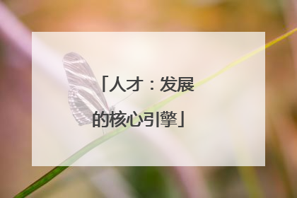人才：发展的核心引擎