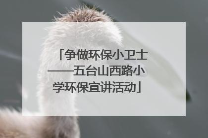 争做环保小卫士——五台山西路小学环保宣讲活动
