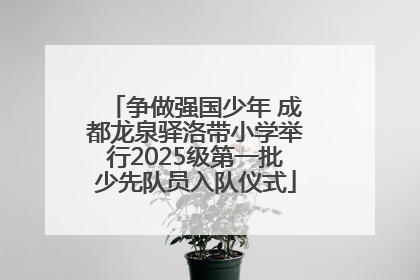 争做强国少年 成都龙泉驿洛带小学举行2025级第一批少先队员入队仪式