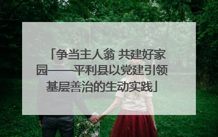 争当主人翁 共建好家园——平利县以党建引领基层善治的生动实践