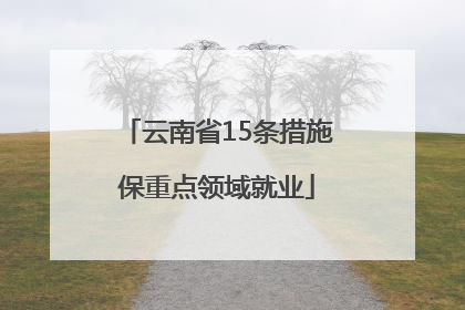 云南省15条措施保重点领域就业