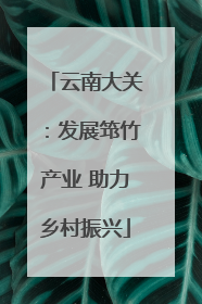 云南大关：发展筇竹产业 助力乡村振兴